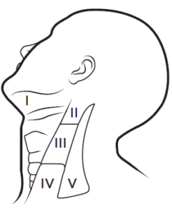 F34 Levels of the lymph nodes of the head and neck region